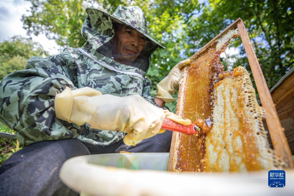 庄闲游戏规则